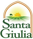 Stefanini Group Logo